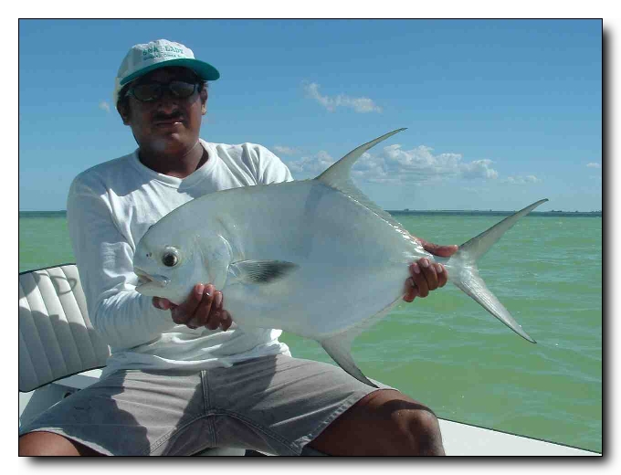 56 Permit in ONE WEEK in the Punta Pajaros Cay, Mexico