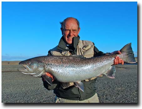 Nice Sea Run Brown Trout from Kau Tapen Lodge