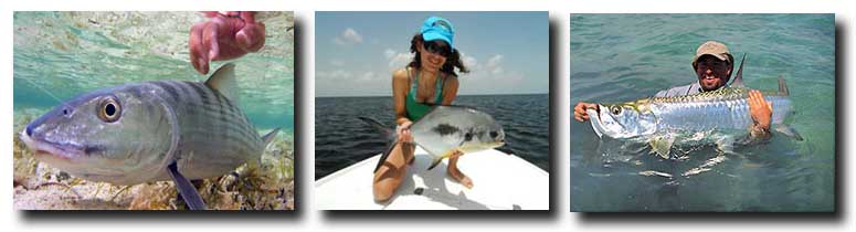 Grand Slam Season is Your Best Chances to Land the Big Three: Bonefish, Permit, and Tarpon
