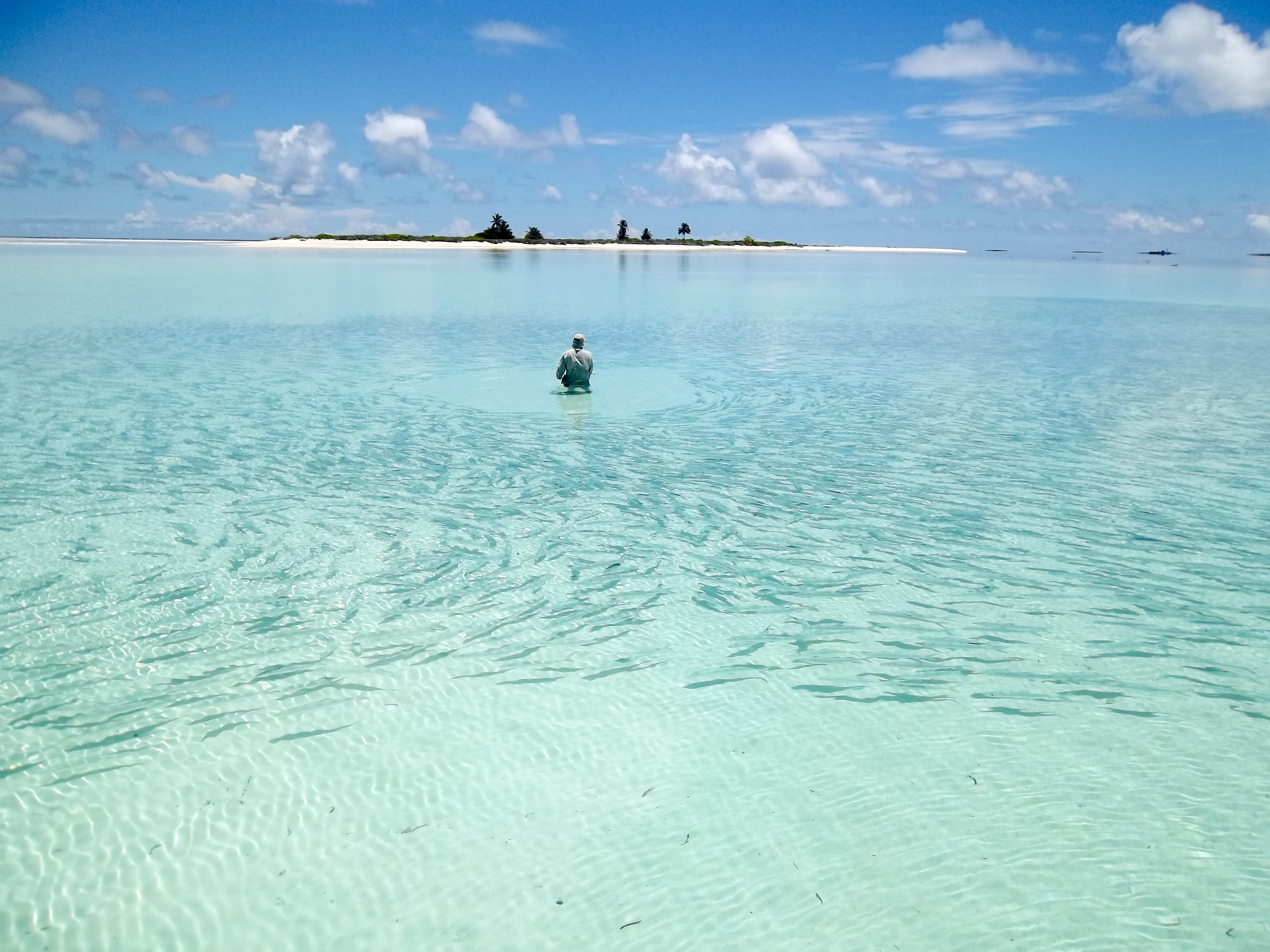 Farquhar Atoll Bonefishing Farquhar Bonefish