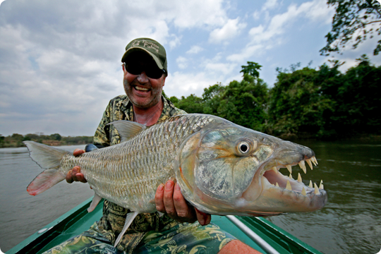 Tanzania Tigerfish