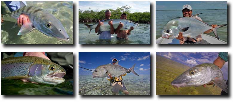 Fall Fishing Bonanza: Deals & Cancellations, Rested Flats, and Your Best Shot at a Grand Slam