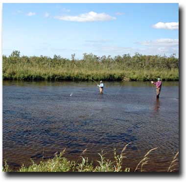 Arolik Fly Fisherman doubled up
