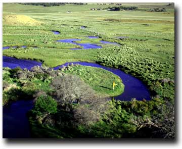 Trout River in Chile Meandering