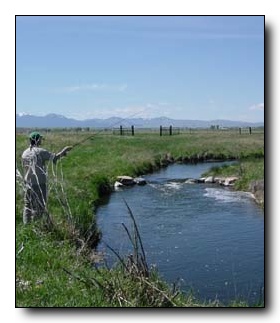 Trevor Noren Fishing at Five Rivers Lodge
