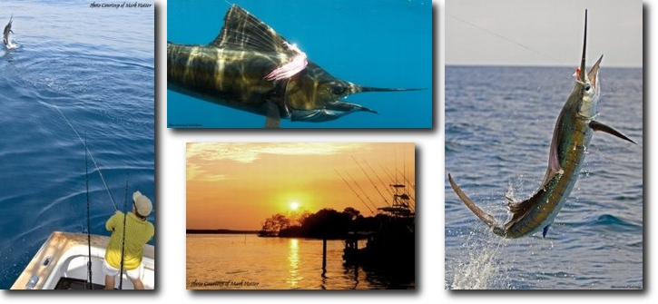 Sailfishing in Guatamala - Photos Courtesy of Mark Hatter