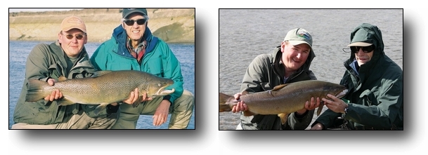 Toon Ken Sea Run Brown Trout