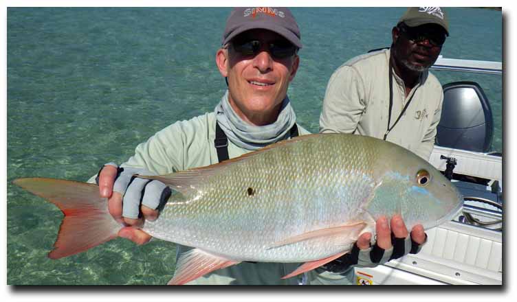 Summer in the Bahamas: Light Winds, Less Pressure, Great Fishing!