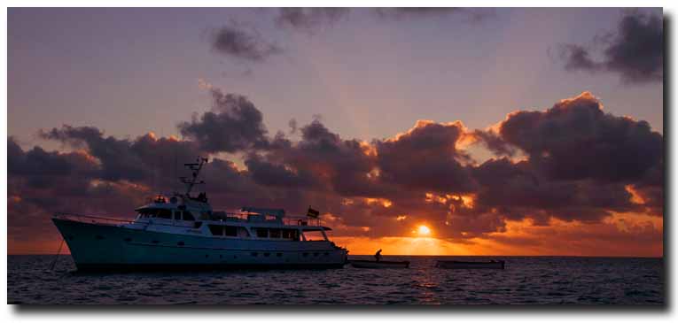 How to Insure Yourself for Travel to the Best Fishing Destinations in the World