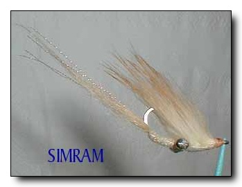 Tying the "SIMRAM"
