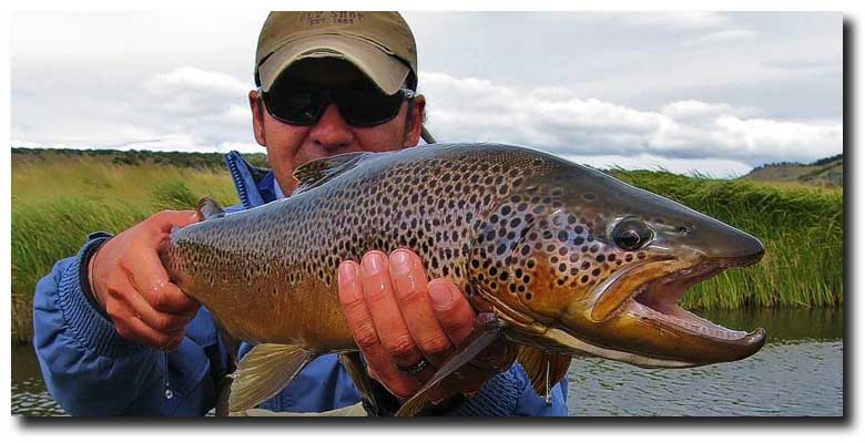 Chile’s Best Trout Fishing: from the Pampas to the Rain Forest
