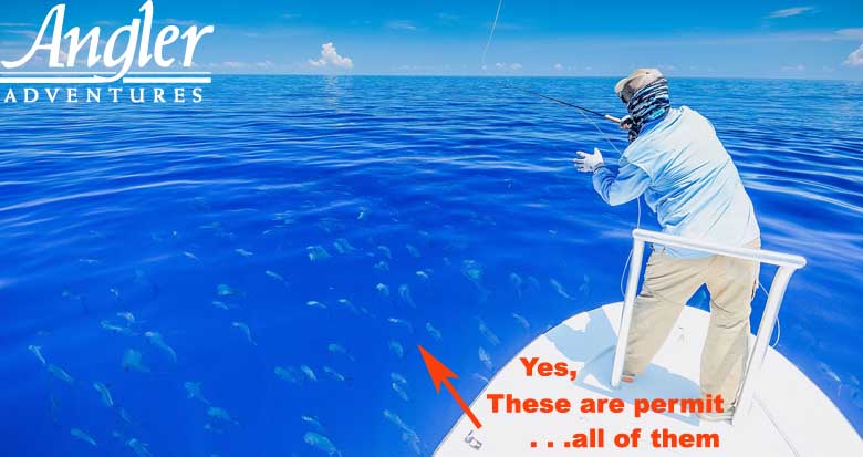 Hosted Trip to Turneffe Island Resort, Belize
