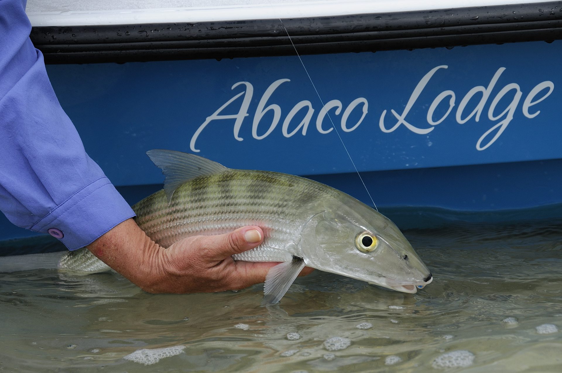 Abaco Lodge