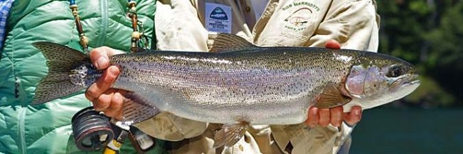 Rio Manso Lodge