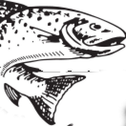 Angler Adventures logo