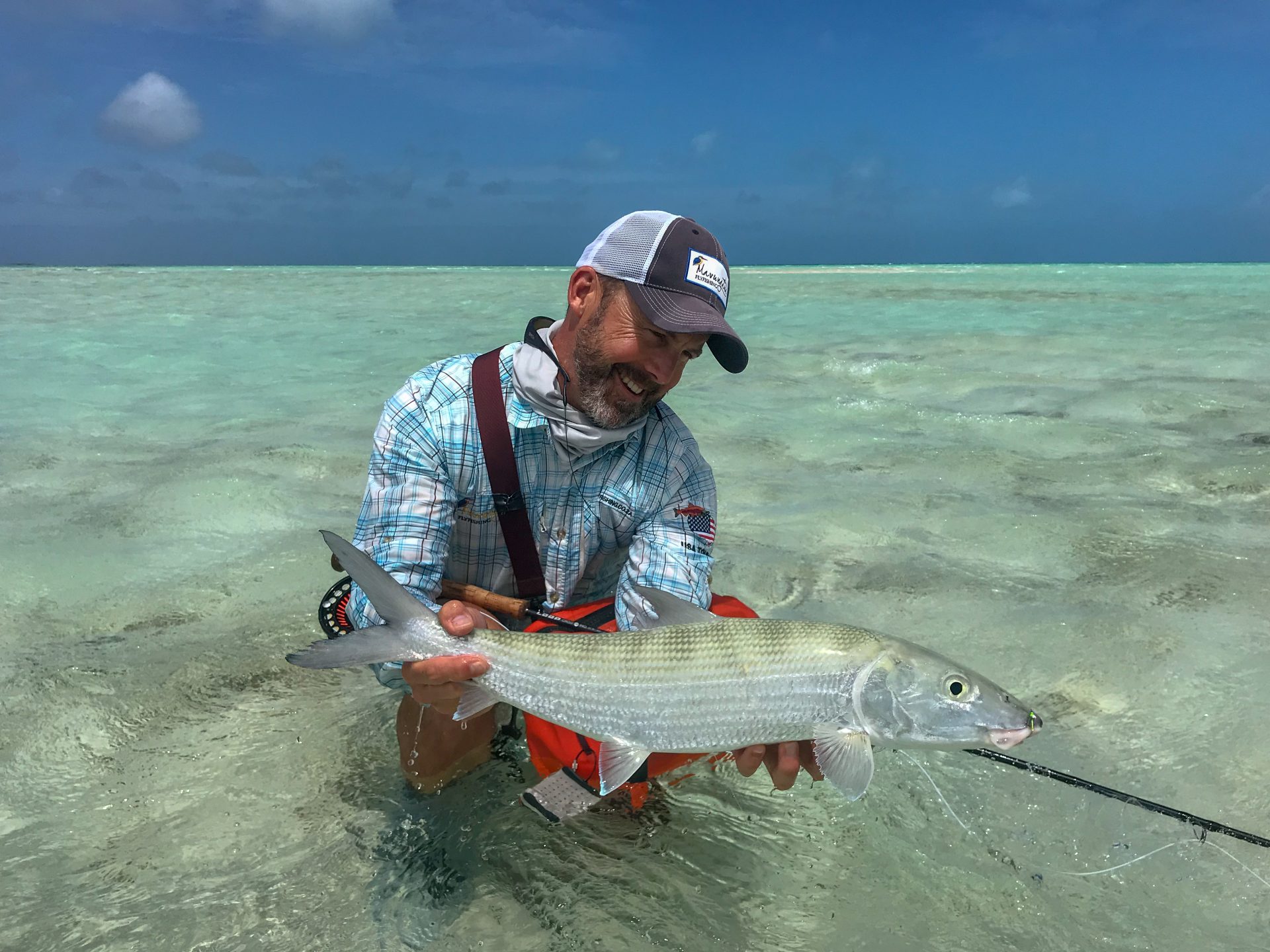 Bonefish at Farquhar Atoll, Seychelles