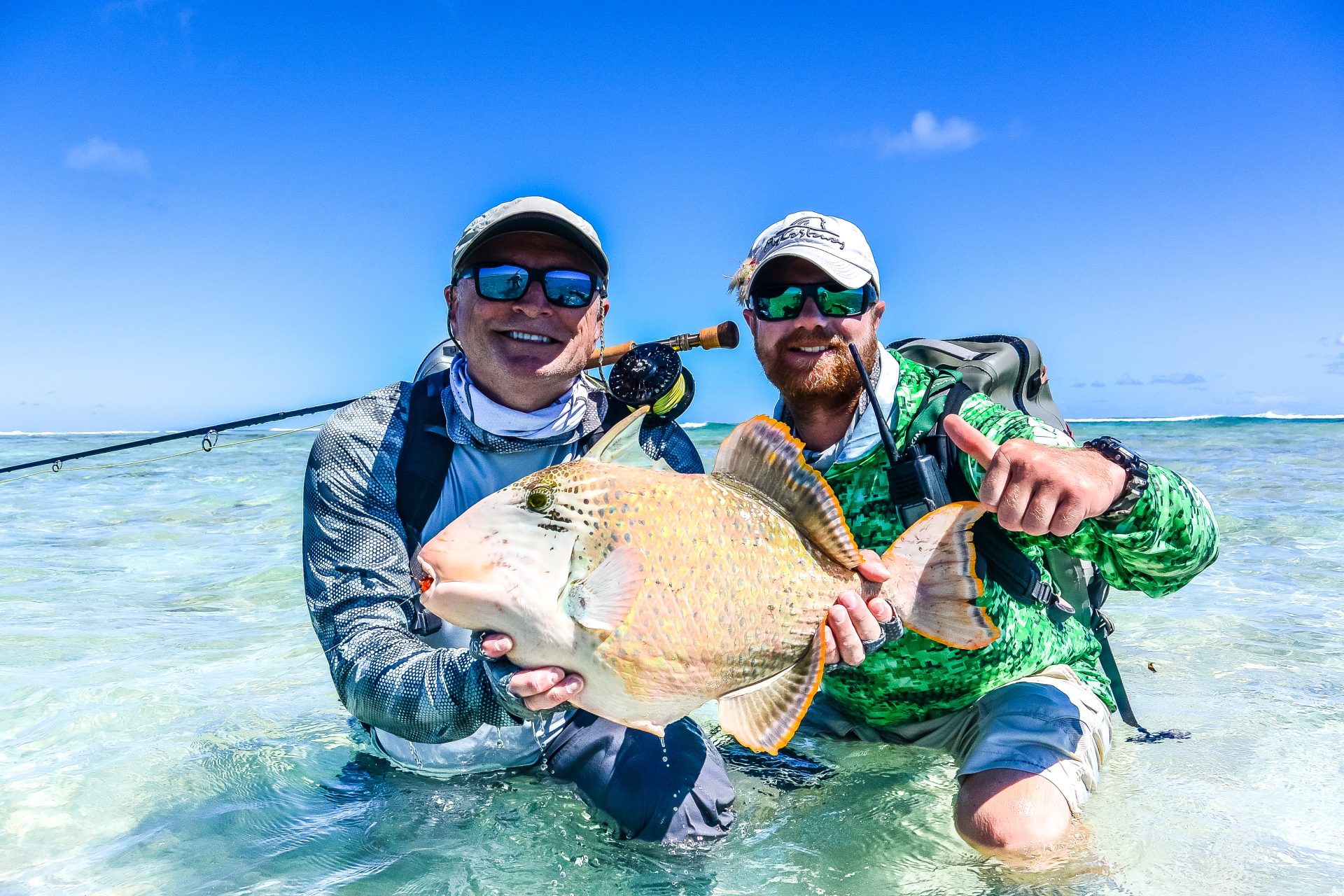 Yellowmargin triggerfish at Farquhar Atoll, Seychelles