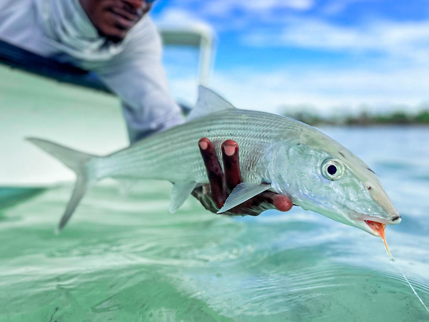 Mangrove Cay Club, Andros, Bahamas