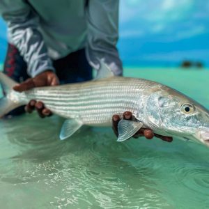 Mangrove Cay Club, Andros, Bahamas