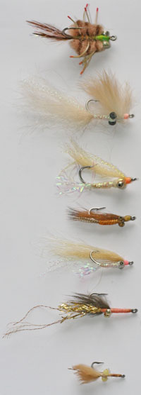 vertical image of flies for bonefish - see caption