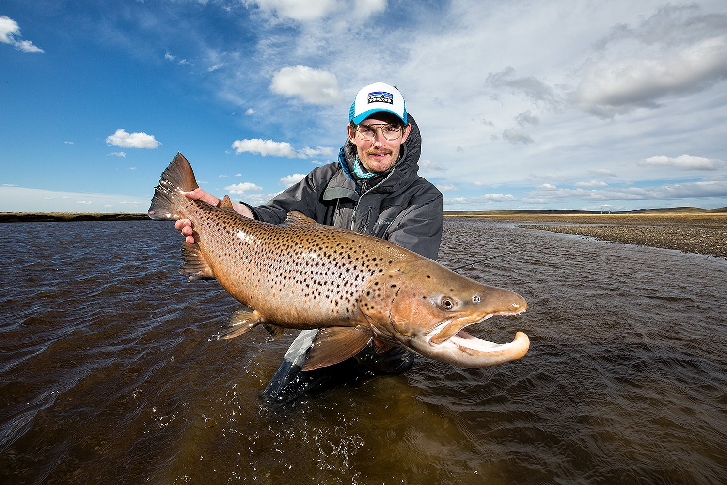 Giant Sea Run Brown Trout caught by Angler in river in Tierra del Fuego, Patagonia, Argentina