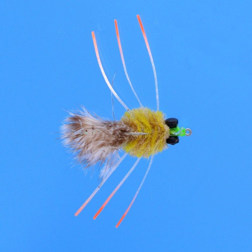 EP Crab fly (Enrico Puglisi)