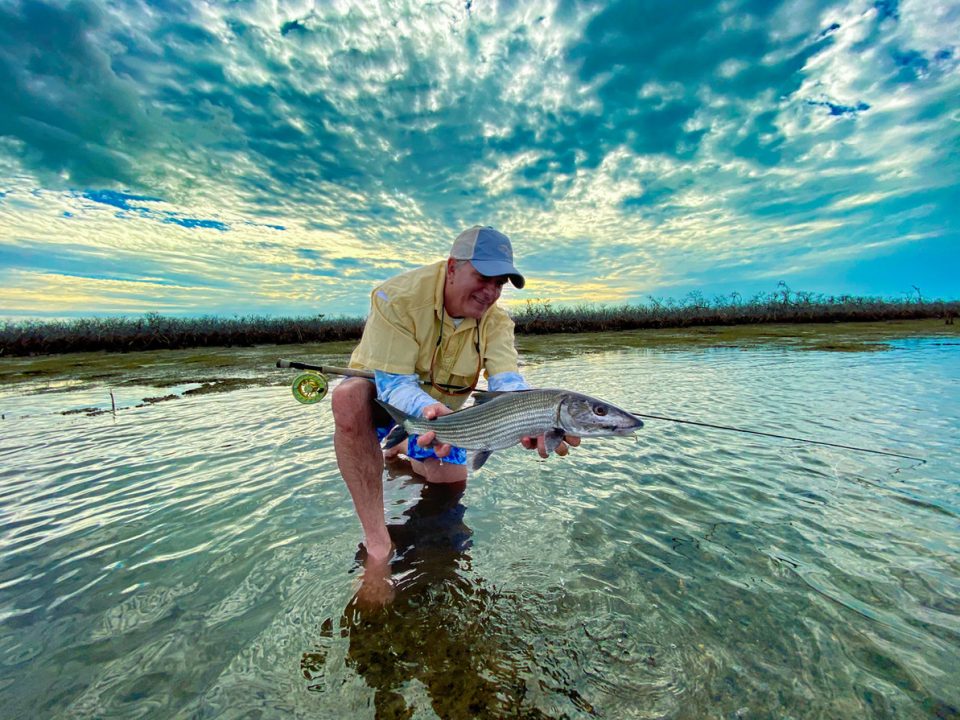 The Bahama Angler - Solid Forrest
