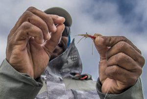 Mars Bay fishing