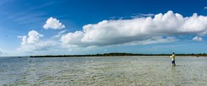 Mars Bay flats