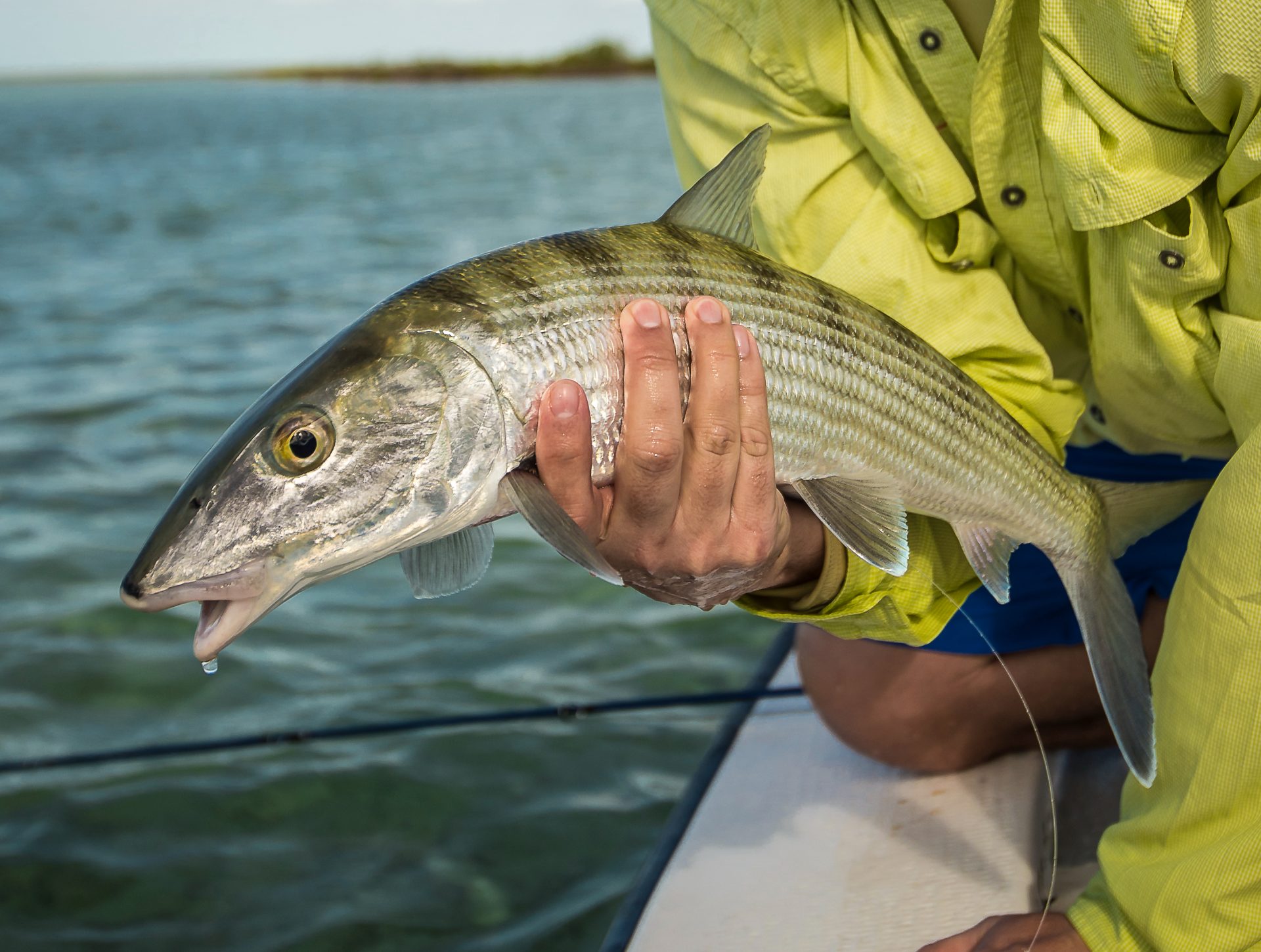Mars Bay Bonefish Lodge