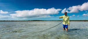 Fighting bonefish
