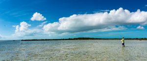 Fighting bonefish at Mars Bay