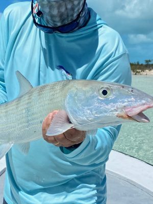 Pleasant Bay Bonefish Lodge, South Andros, Bahamas