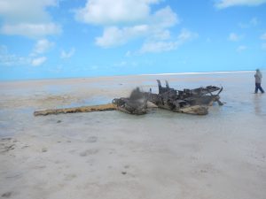 Pleasant Bay Bonefish Lodge, South Andros, Bahamas