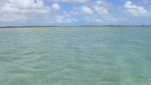Pleasant Bay Bonefish Lodge, South Andros, Bahamas
