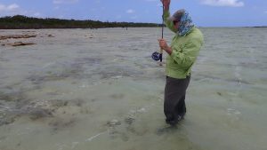 Pleasant Bay Bonefish Lodge, South Andros, Bahamas