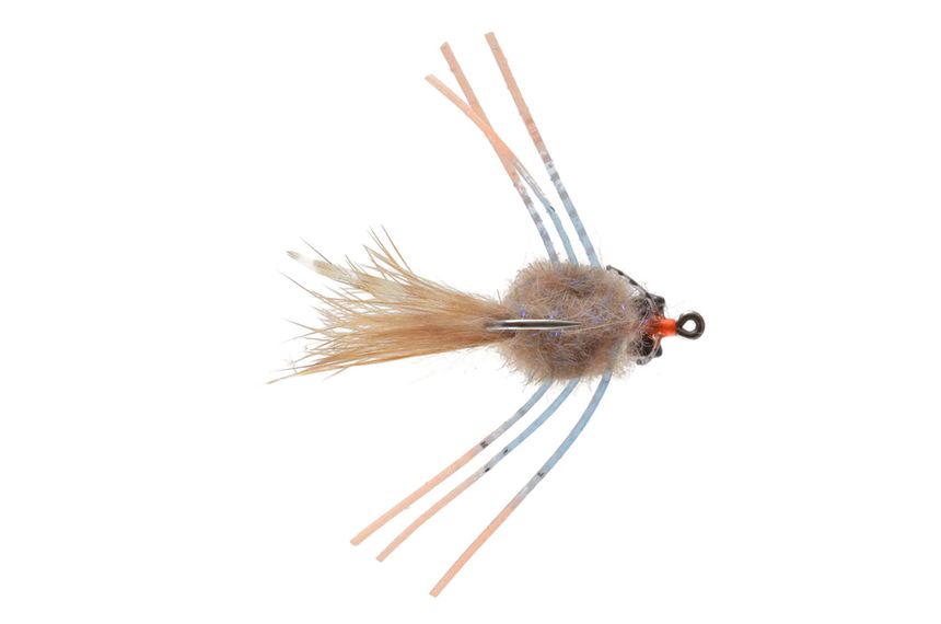 Raghead Crab Fly