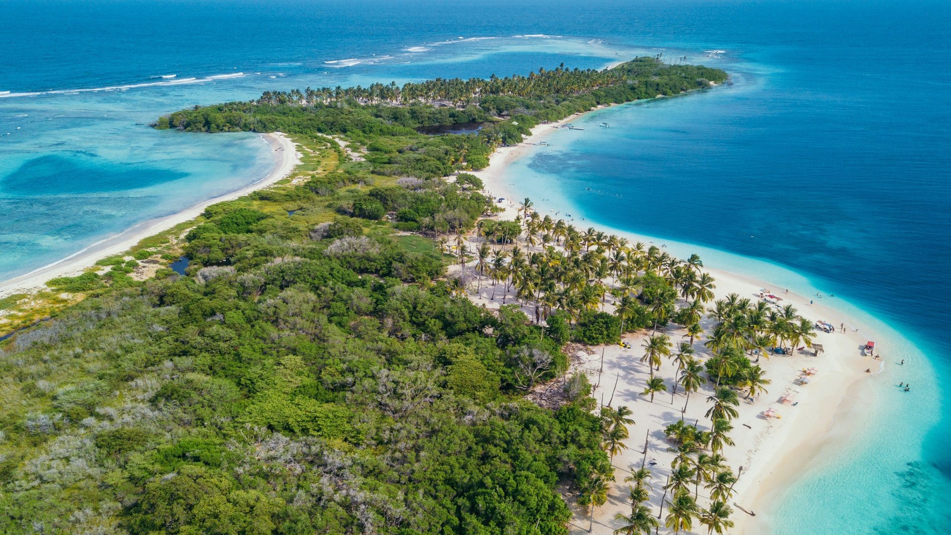 Venezuela coastline peninsula - fishing diversity, billfish, bonefish