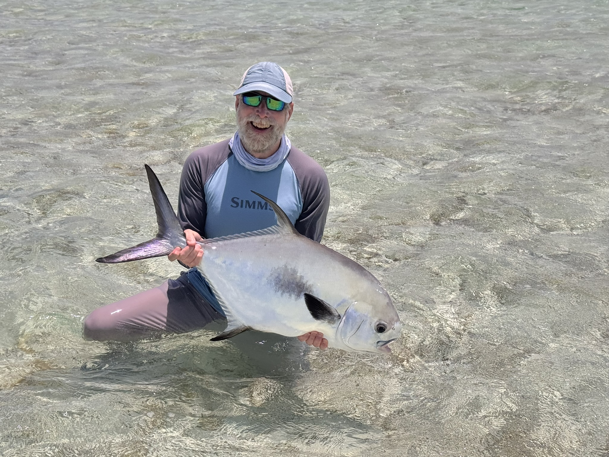 Permit fish on Bahamas flat after hurricane, showing increased catchability in post-storm conditions