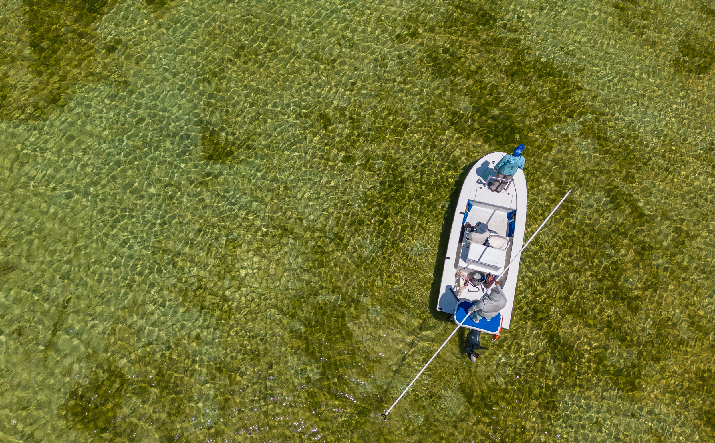 Guide poling a skiff on skinny Espiritu Santo Bay flats from above — Playa Blanca Lodge Mexico | Matt DeLorme
