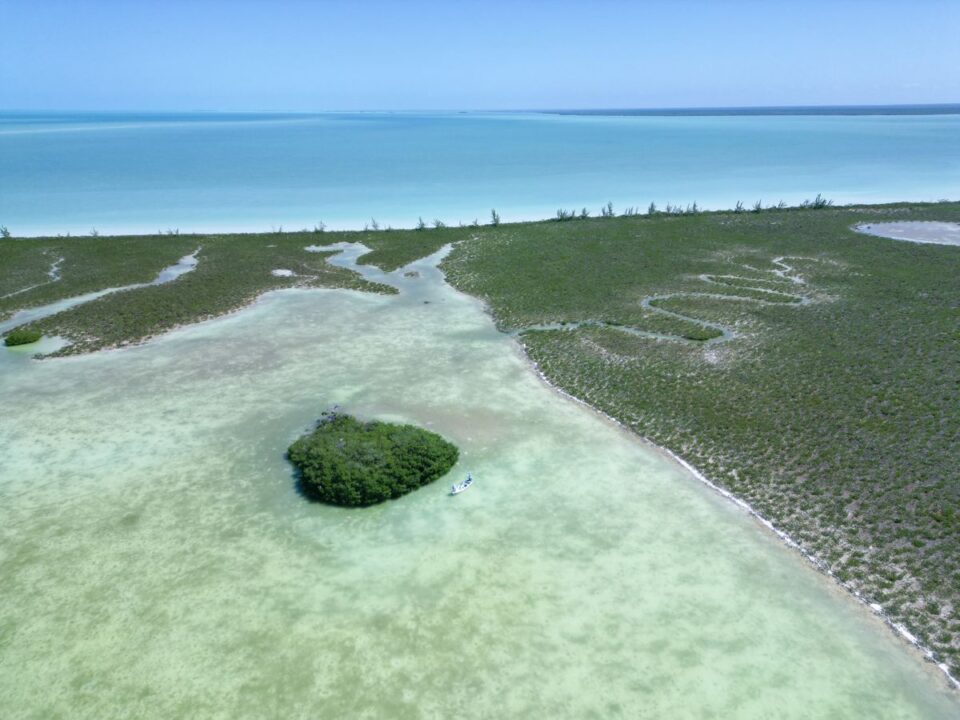 Ascension Bay Mangrove Aerial — Sian Kaan Lodge, Ascension Bay Mexico