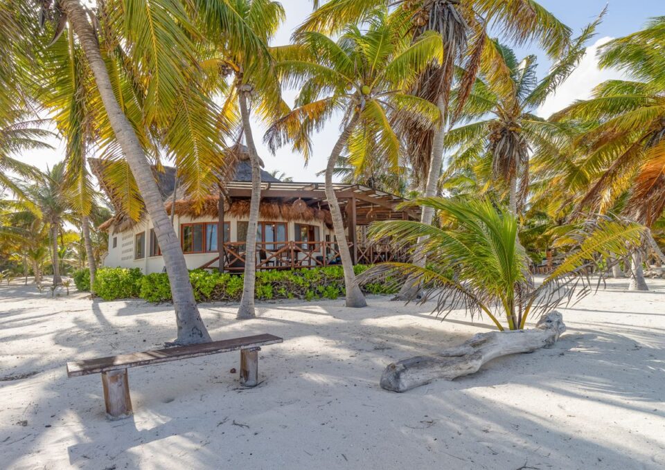 Lodge Beachfront Palm Grove — Sian Kaan Lodge, Ascension Bay Mexico