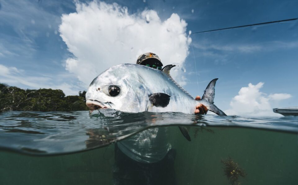 Permit Tail Grip Release — Sian Kaan Lodge, Ascension Bay Mexico