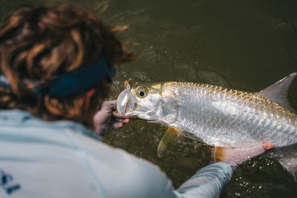 Tarpon Head Lip Grip — Sian Kaan Lodge, Ascension Bay Mexico