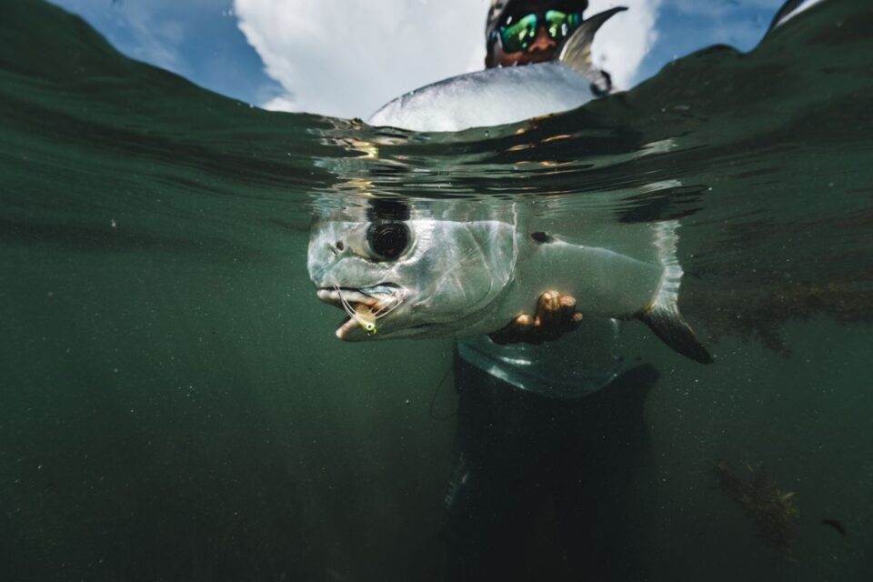 Tarpon Jaw Hold Release — Sian Kaan Lodge, Ascension Bay Mexico
