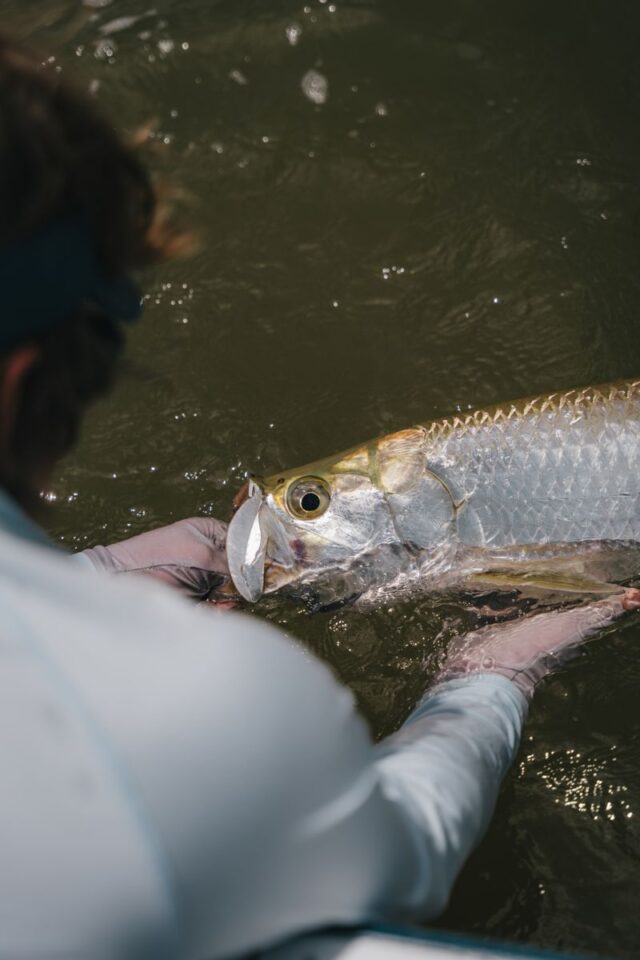 Tarpon Release Hand Grip — Sian Kaan Lodge, Ascension Bay Mexico