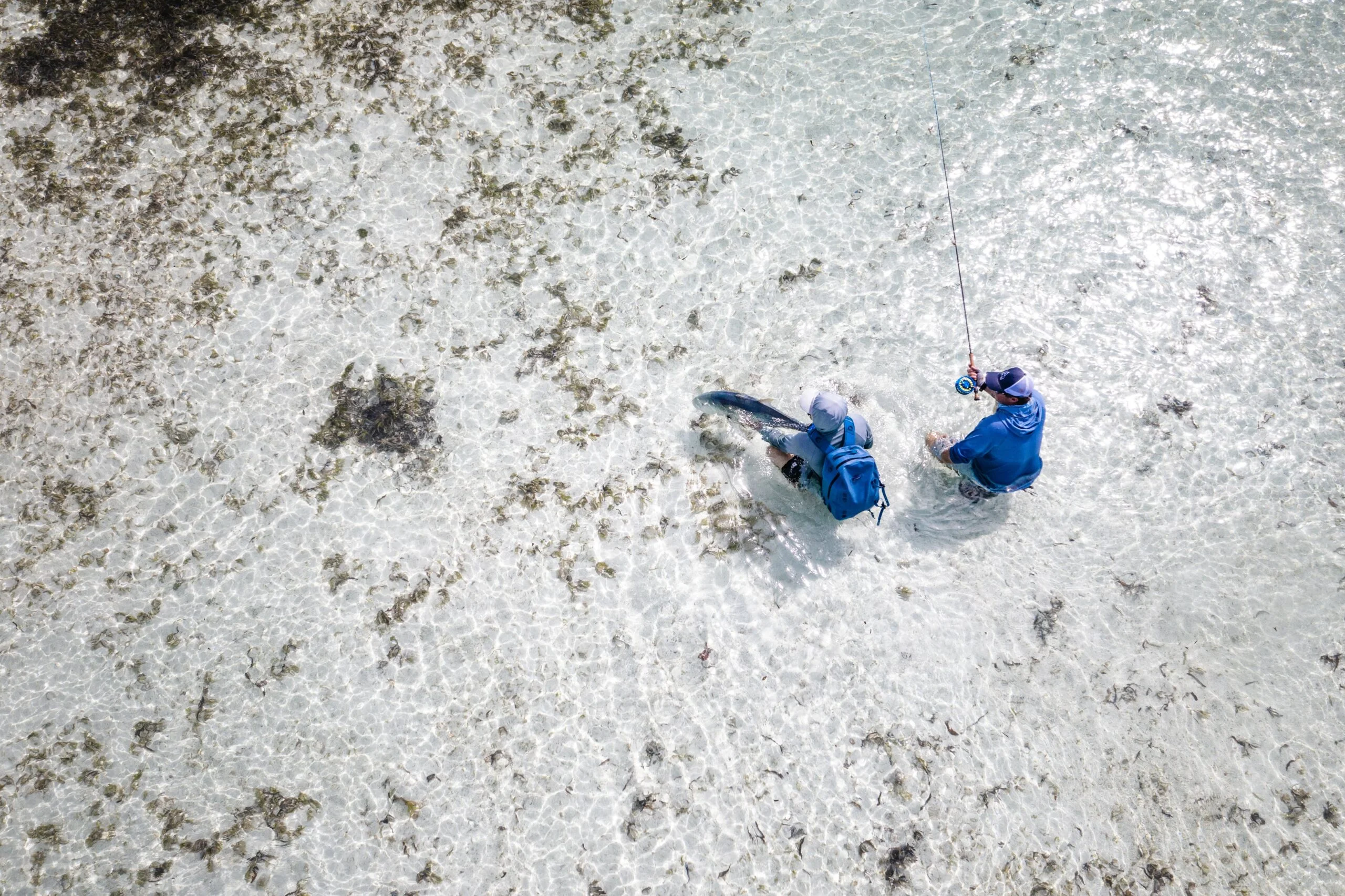 Aerial of anglers with a Giant Trevally on Cosmoledo flats, Seychelles