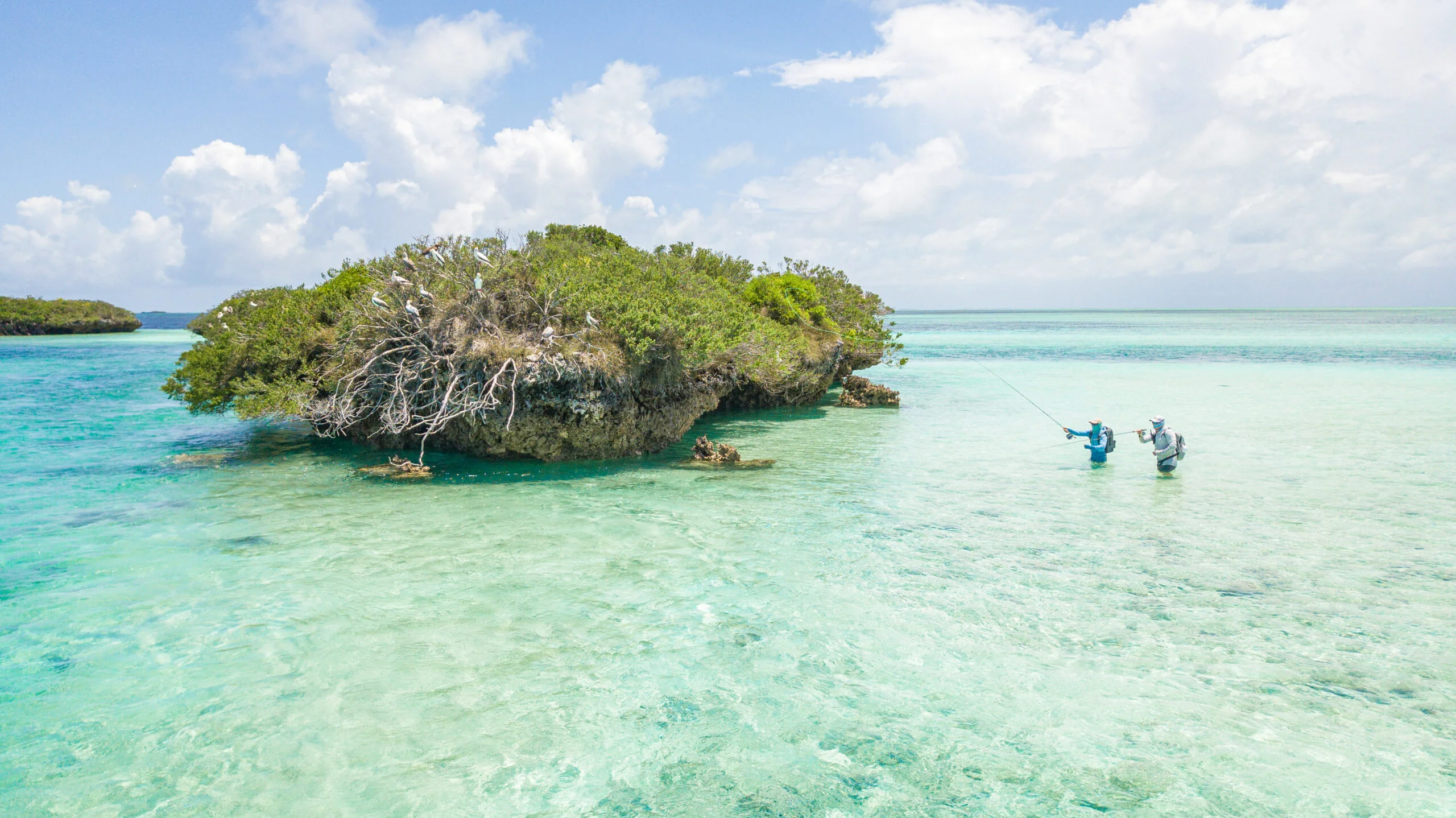 Anglers wading Cosmoledo flats beside a bird island, Seychelles