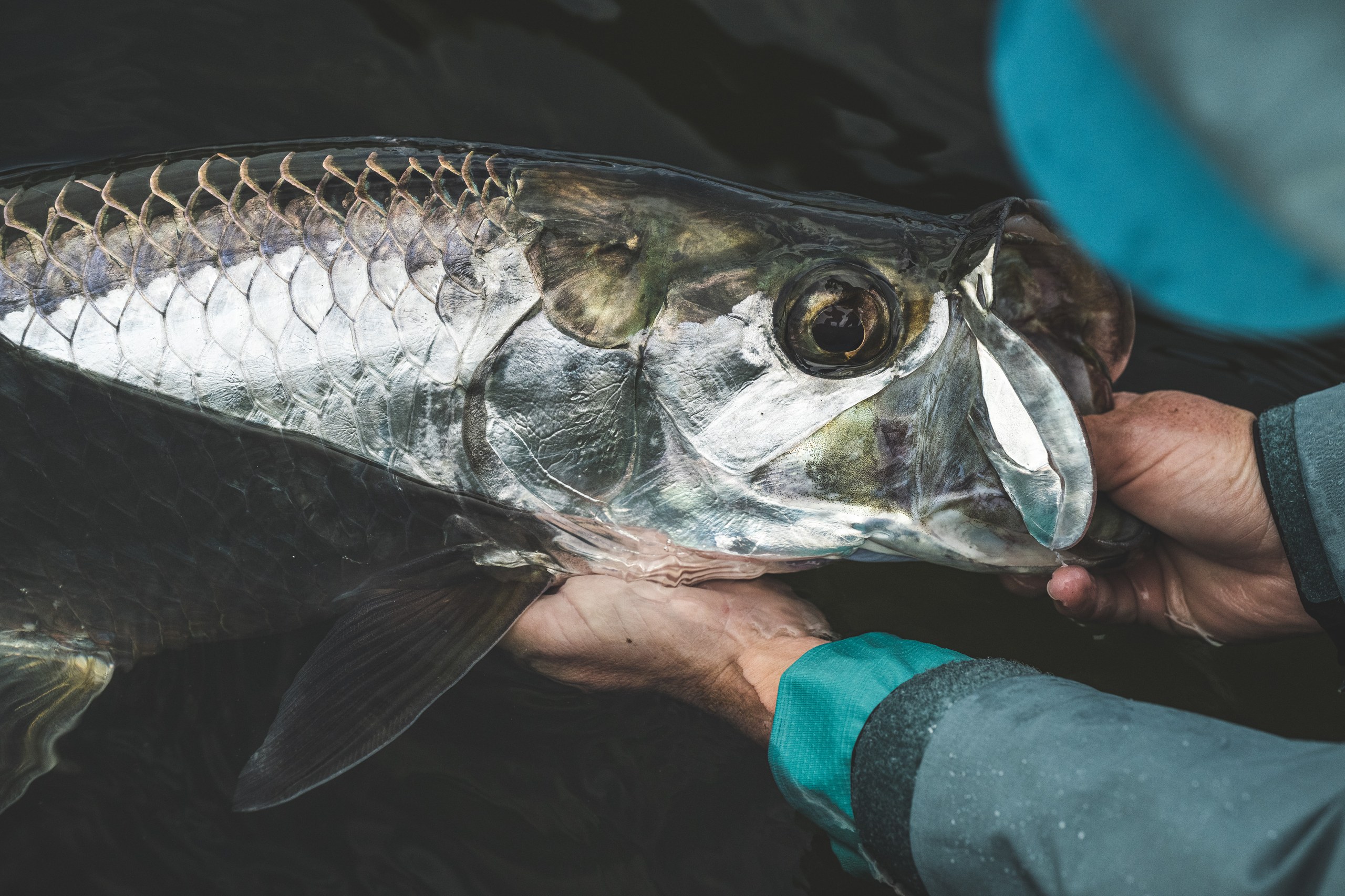 2027 No Name Fly Lodge Fly Fishing Puerto Rico Angler Adventures 62