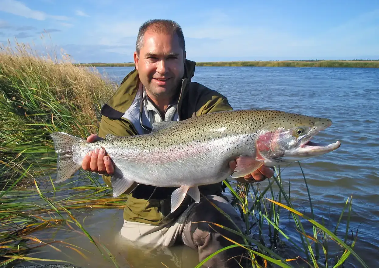 Angler with trophy rainbow trout wading — Royal Coachman Lodge, Nuyakuk River, Bristol Bay, Alaska